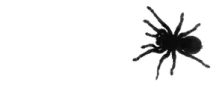 Spider emote