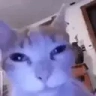 losvoyamatar emote