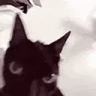 HelpMe emote