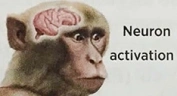 NeuronActivation emote