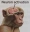 Chimp