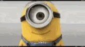 Bello emote