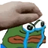 PETTHESMADGE emote