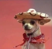 MADRID emote