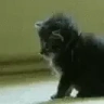 AbangPengsan emote