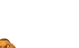 BrugChef emote