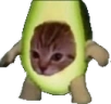 michivocato emote