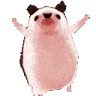 HedgehogDisco emote