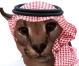 AbdulFlop emote