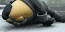 REVIVESFROMVARIETY