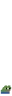 pL emote