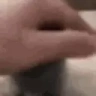 catpat emote