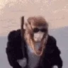 drip emote