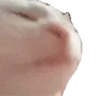 catJAM emote