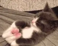 STRETCH emote