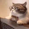 WatchingStream emote