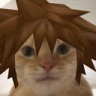 catSora emote