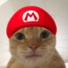 catMario emote