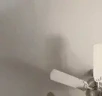 catPunching emote