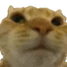 Nono emote