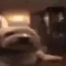 dead emote