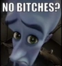 NoBitches emote