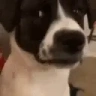 Awkward emote