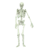 SkeletonPls2 emote
