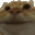 CatYes