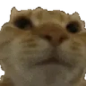 Nono emote