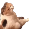 nyo emote
