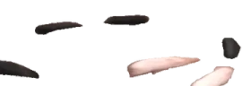 OINKINGAROUND emote
