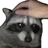 PETTHERACC emote