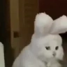 rabbitJAM emote