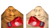 BrugBox emote