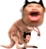 POGGAROO emote