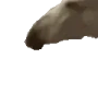 horseJAM emote