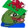 peepoWales emote