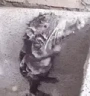 ratWash emote