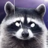 NOW emote