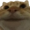 yeah emote