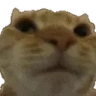 NAH emote