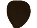 catArrive emote