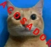 ACOSADOR emote