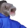 OOOOBanger emote