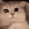 :33