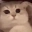 :333