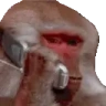 AloPolicia emote