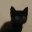 Emote