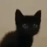 awww emote